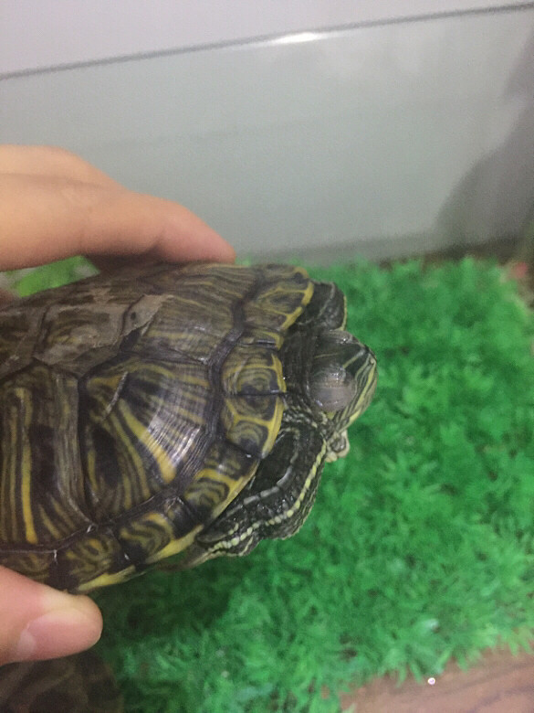 �ڹ������ˣ��۾��װ׵ģ�����������������