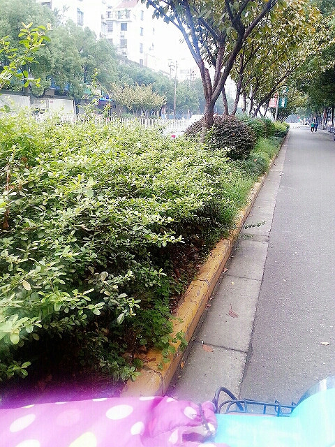 �����Ŀ�����������������