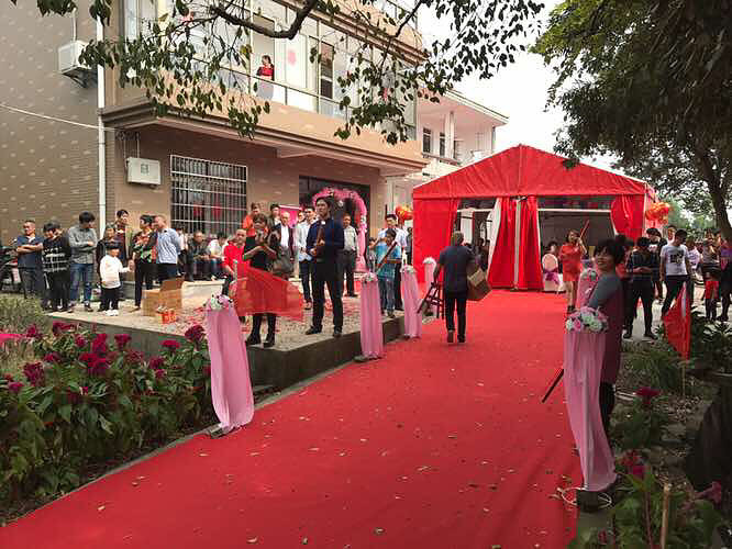 ���� ����