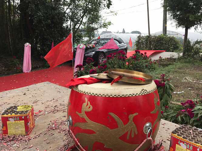 ���� ����