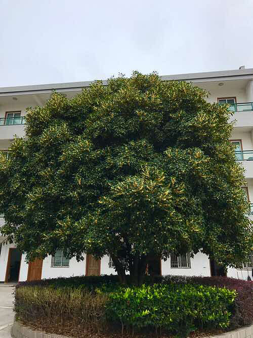 ���� ����