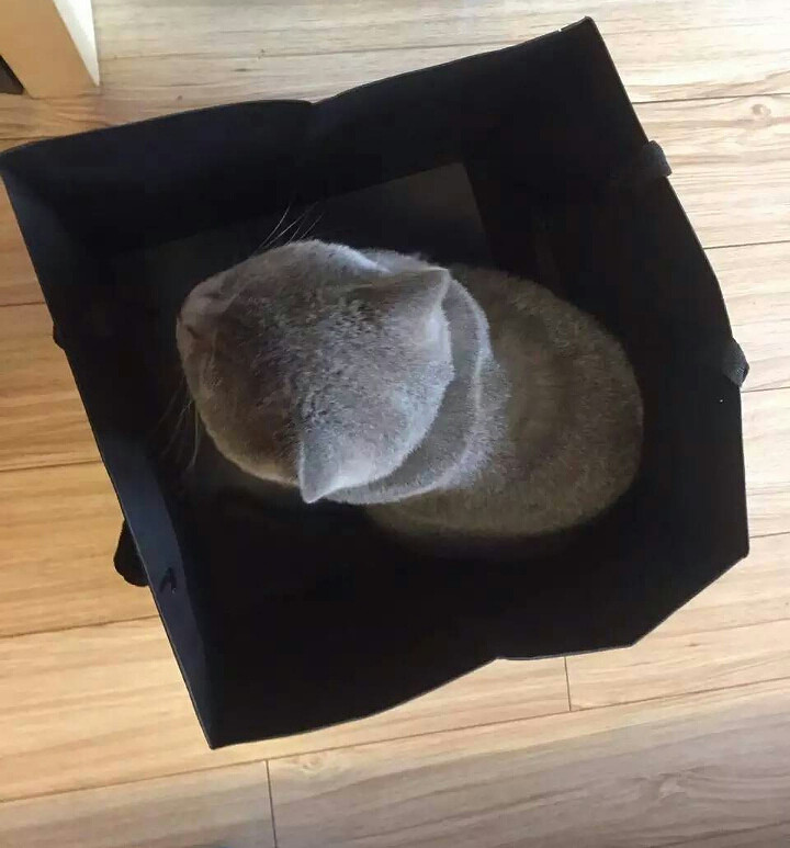 ���� �� �� �� �� �ǡ�