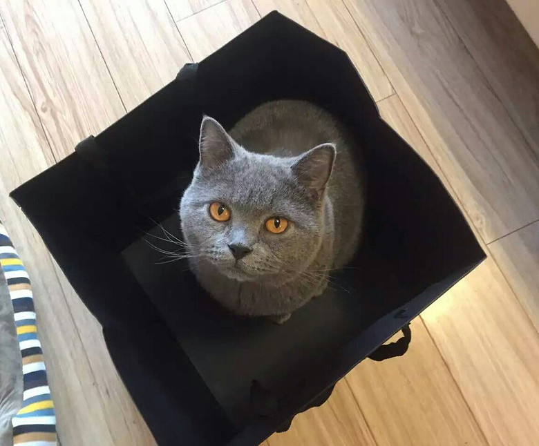 ���� �� �� �� �� �ǡ�