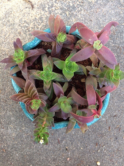 �������������⣬���ɡ�