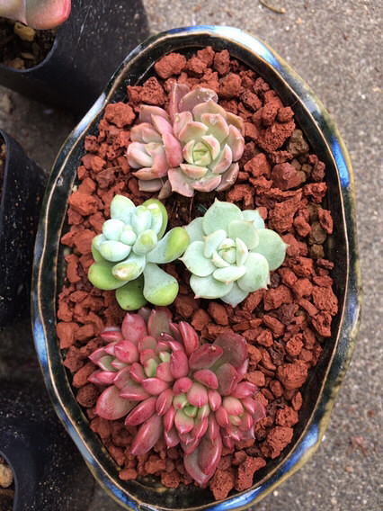 �������������⣬���ɡ�