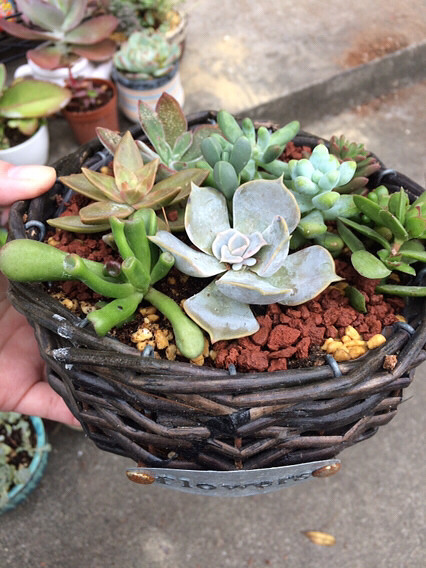 �������������⣬���ɡ�