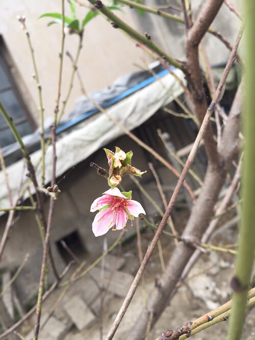 �Ҽ�ʮ���һ���