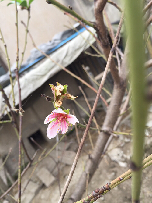 �Ҽ�ʮ���һ���