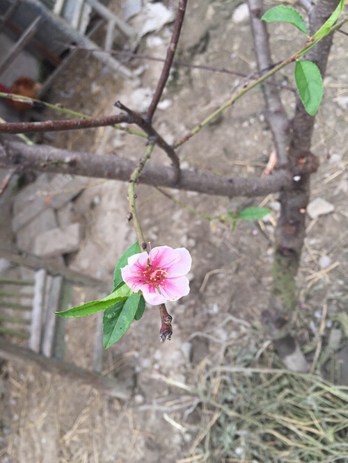 �Ҽ�ʮ���һ���