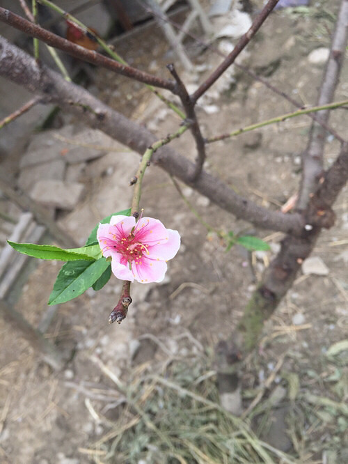 �Ҽ�ʮ���һ���