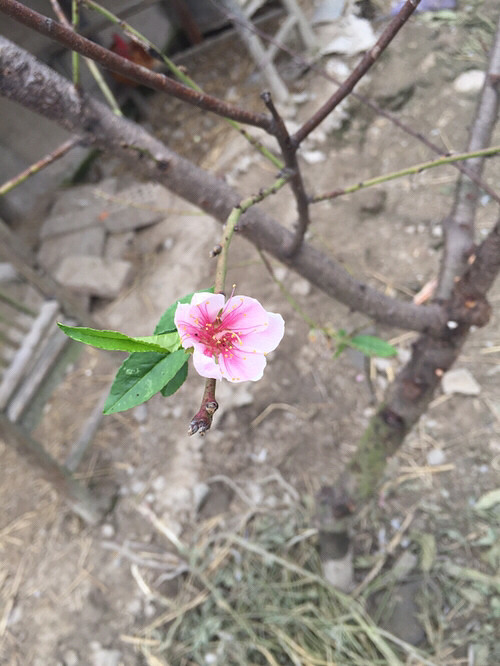 �Ҽ�ʮ���һ���