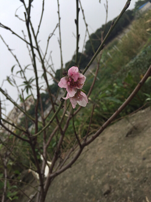 �Ҽ�ʮ���һ���