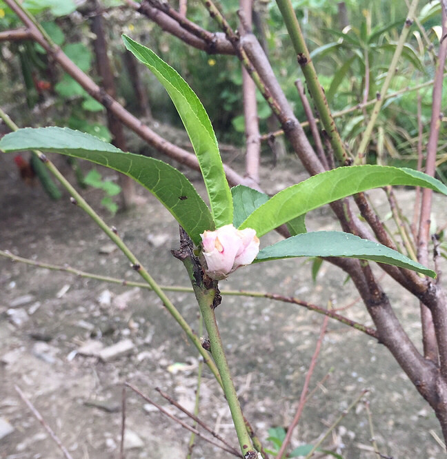 �Ҽ�ʮ���һ���