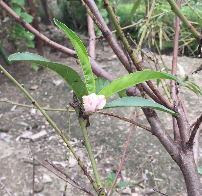 �Ҽ�ʮ���һ���