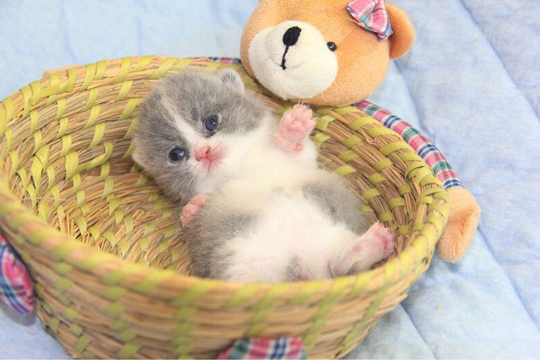 ���������������è������è������