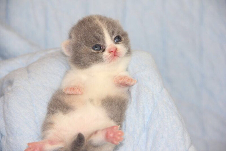 ���������������è������è������