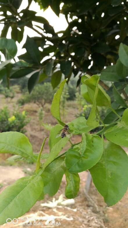 ũ��Ŀ������������Ǻ�