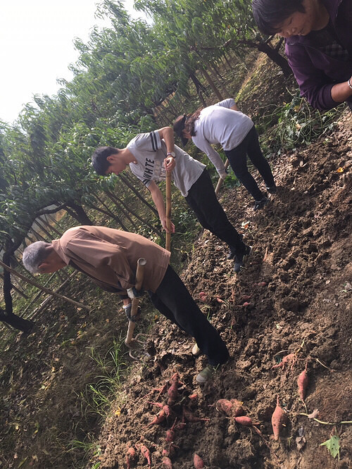 ͬ��������ũ����