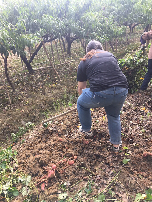 ͬ��������ũ����