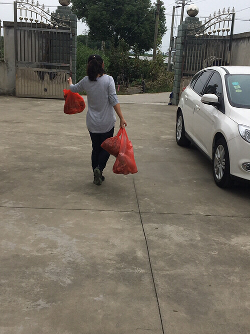 ͬ��������ũ����