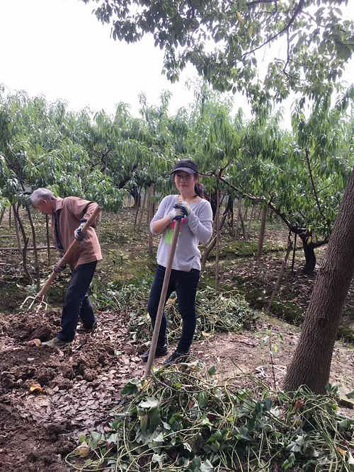 ͬ��������ũ����