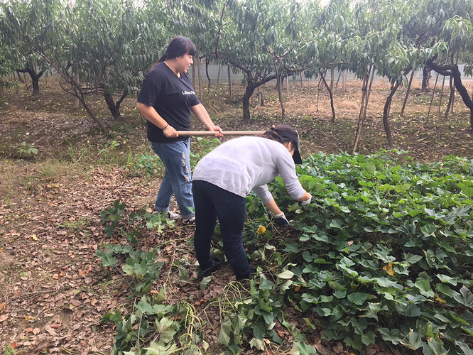 ͬ��������ũ����