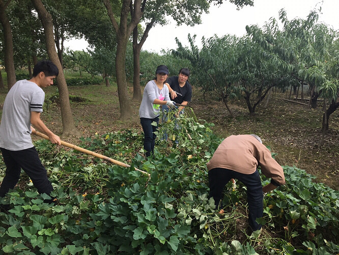 ͬ��������ũ����