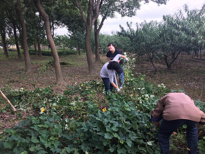 ͬ��������ũ����