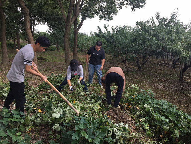 ͬ��������ũ����