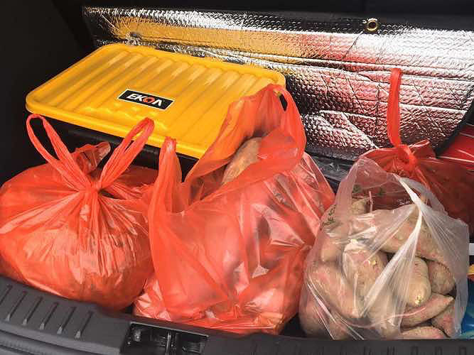 ͬ��������ũ����