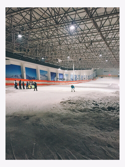 �ǲ���ѩ����