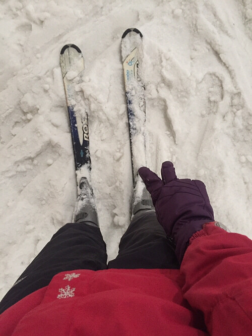 �ǲ���ѩ����