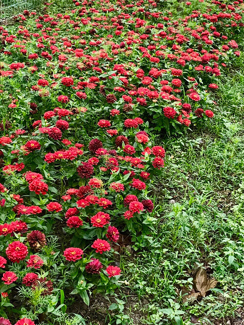 ����ֲ��԰�Ļ���