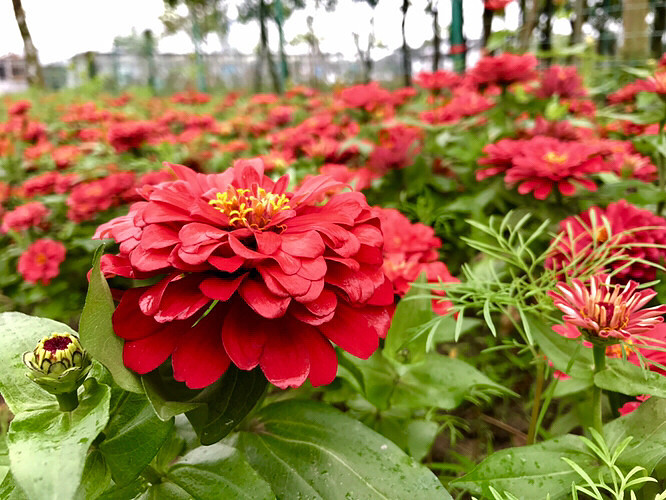 ����ֲ��԰�Ļ���