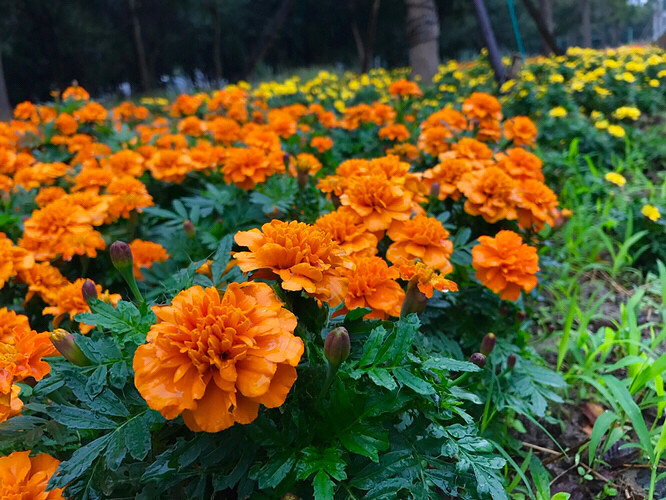 ����ֲ��԰�Ļ���