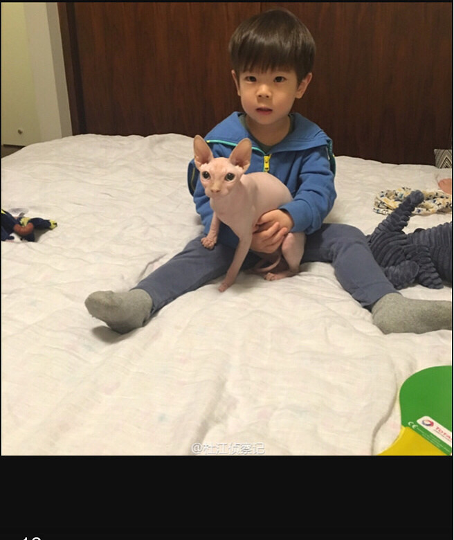 �Ͼ���˹�ҿ�˹��ëè�������ޱȵľ�����