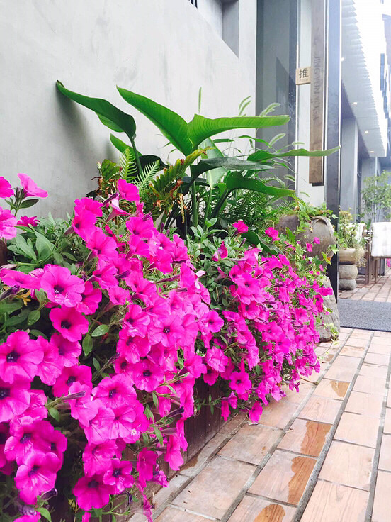 ���õ����� ��Ҫ���������� ����������