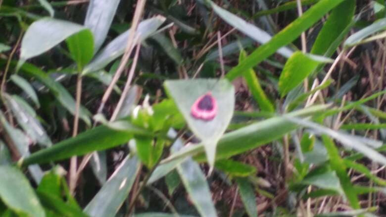 ����ʲô���棬��˭֪����