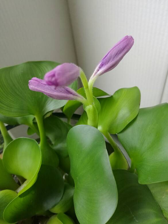 ˮ��«�����ˣ�