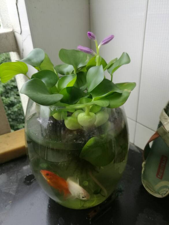 ˮ��«�����ˣ�