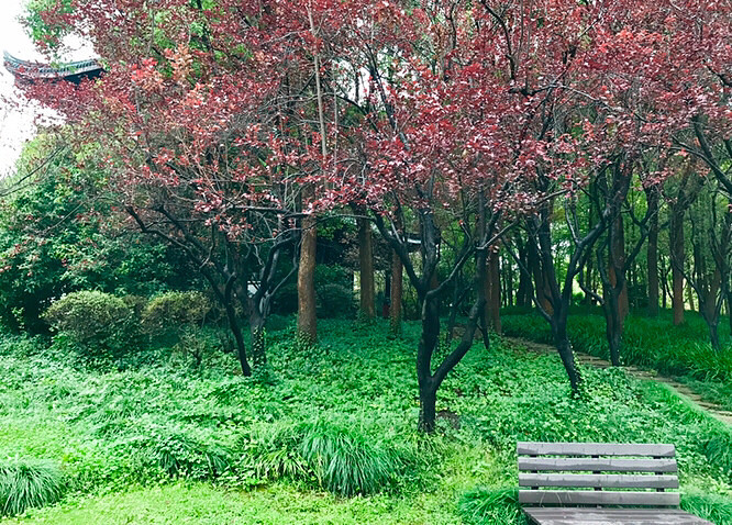 ���˳��Ϲ�԰