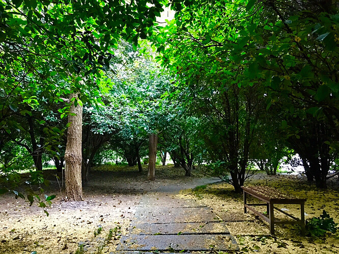 ���˳��Ϲ�԰