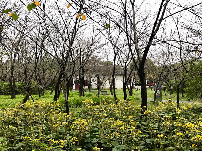 ���˳��Ϲ�԰