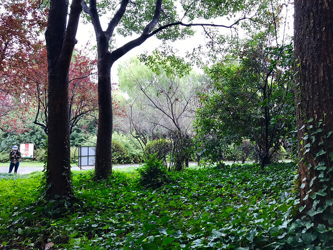 ���˳��Ϲ�԰