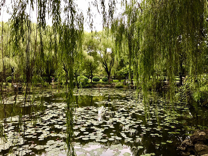 ���˳��Ϲ�԰