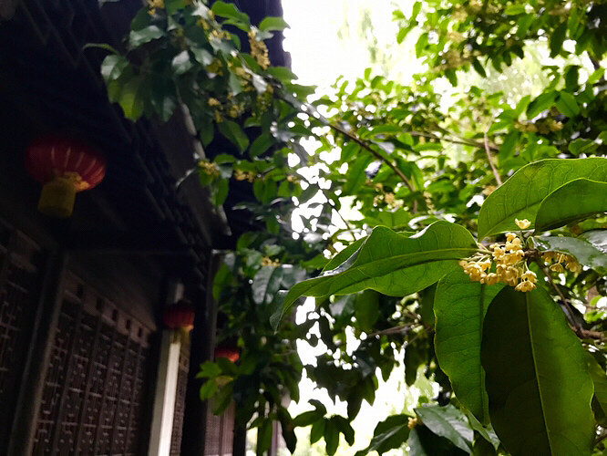 ����÷���