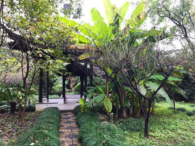 ����÷���