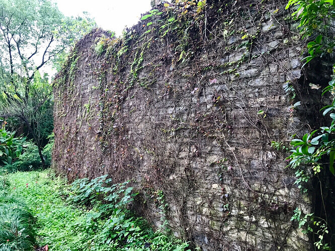 ����÷���