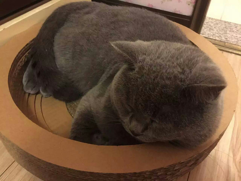 ��һ������������ж�ô�Ĳ�ϲ�����������