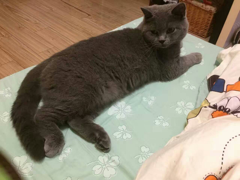 ��һ������������ж�ô�Ĳ�ϲ�����������